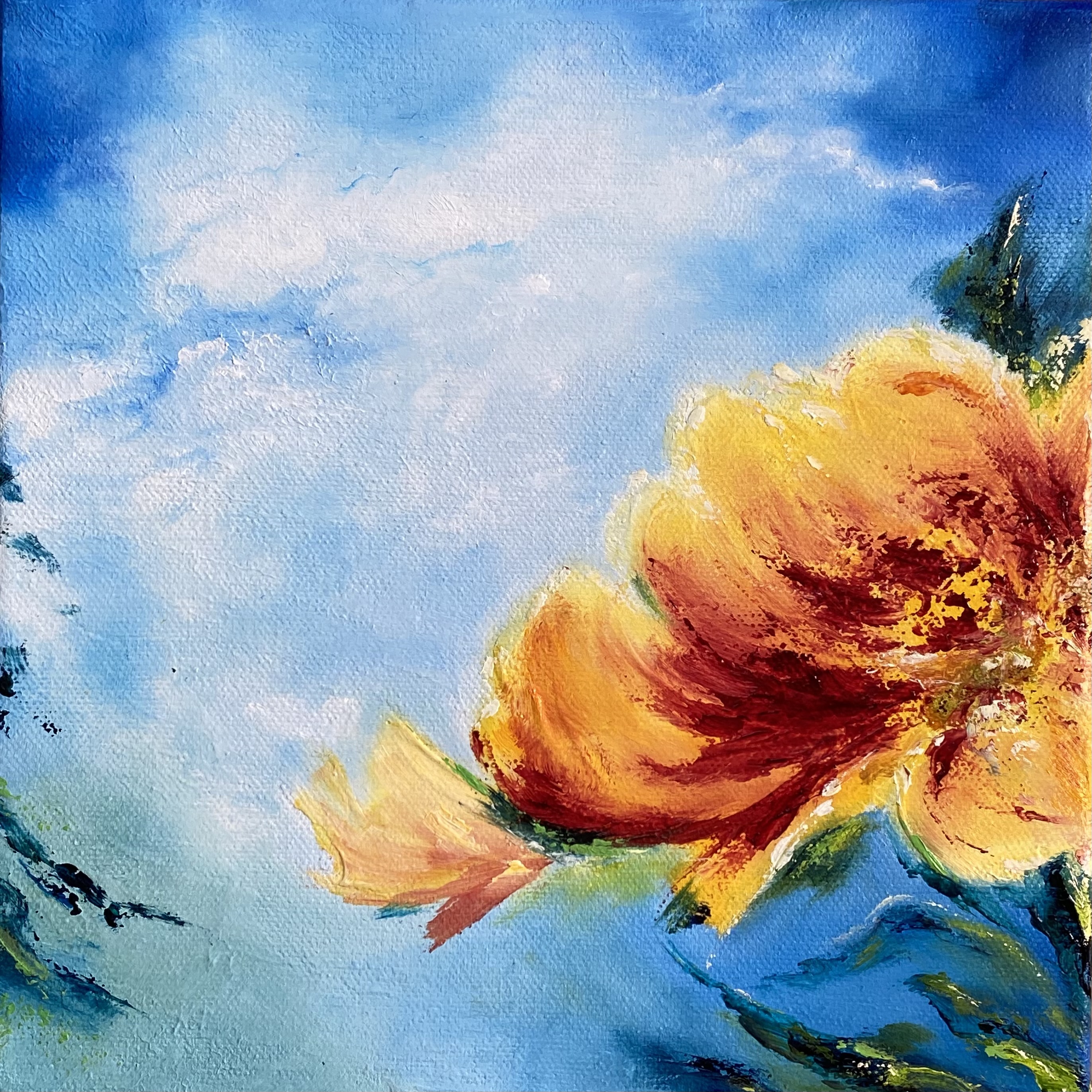 Ciel Et Fleur