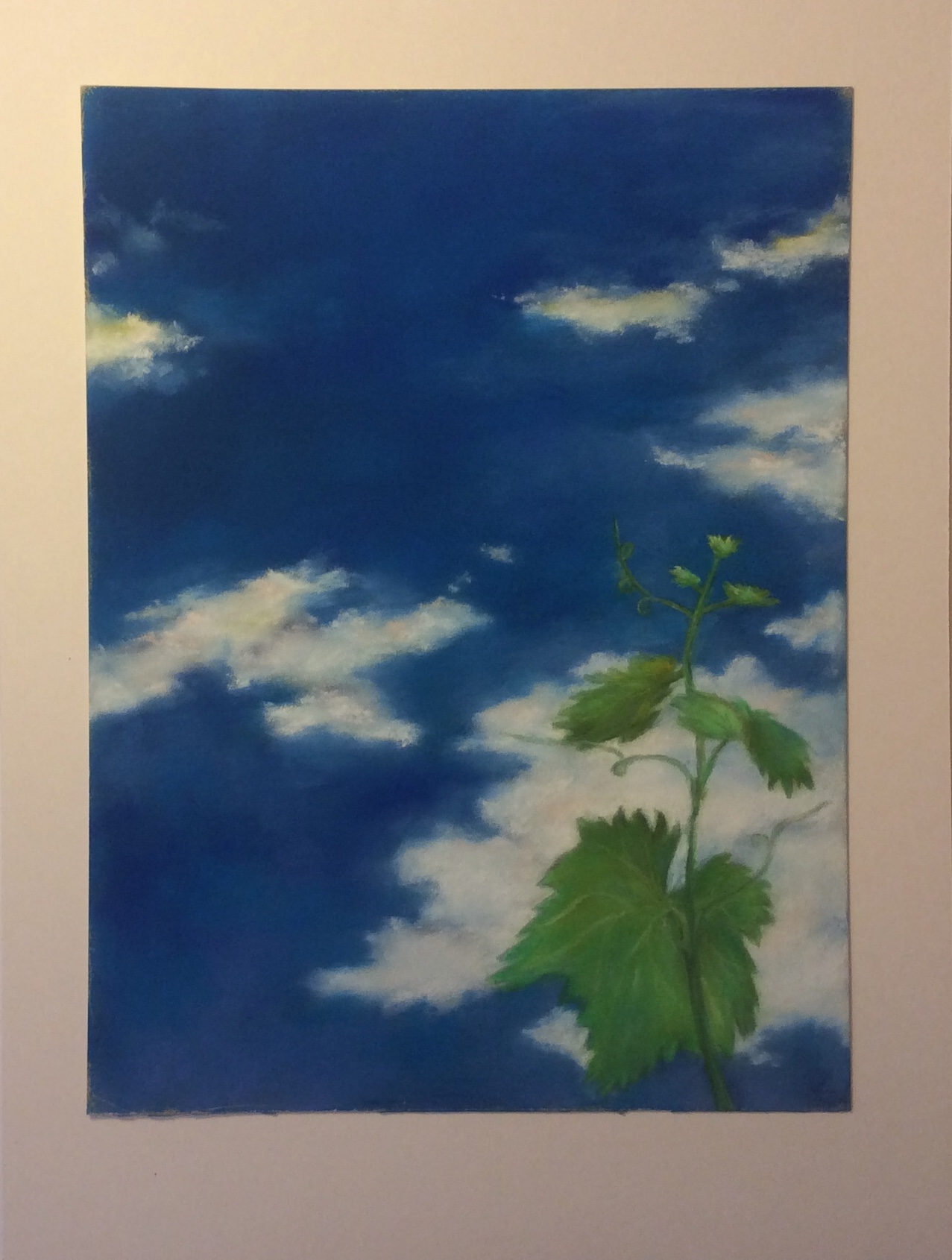 Ciel Vin